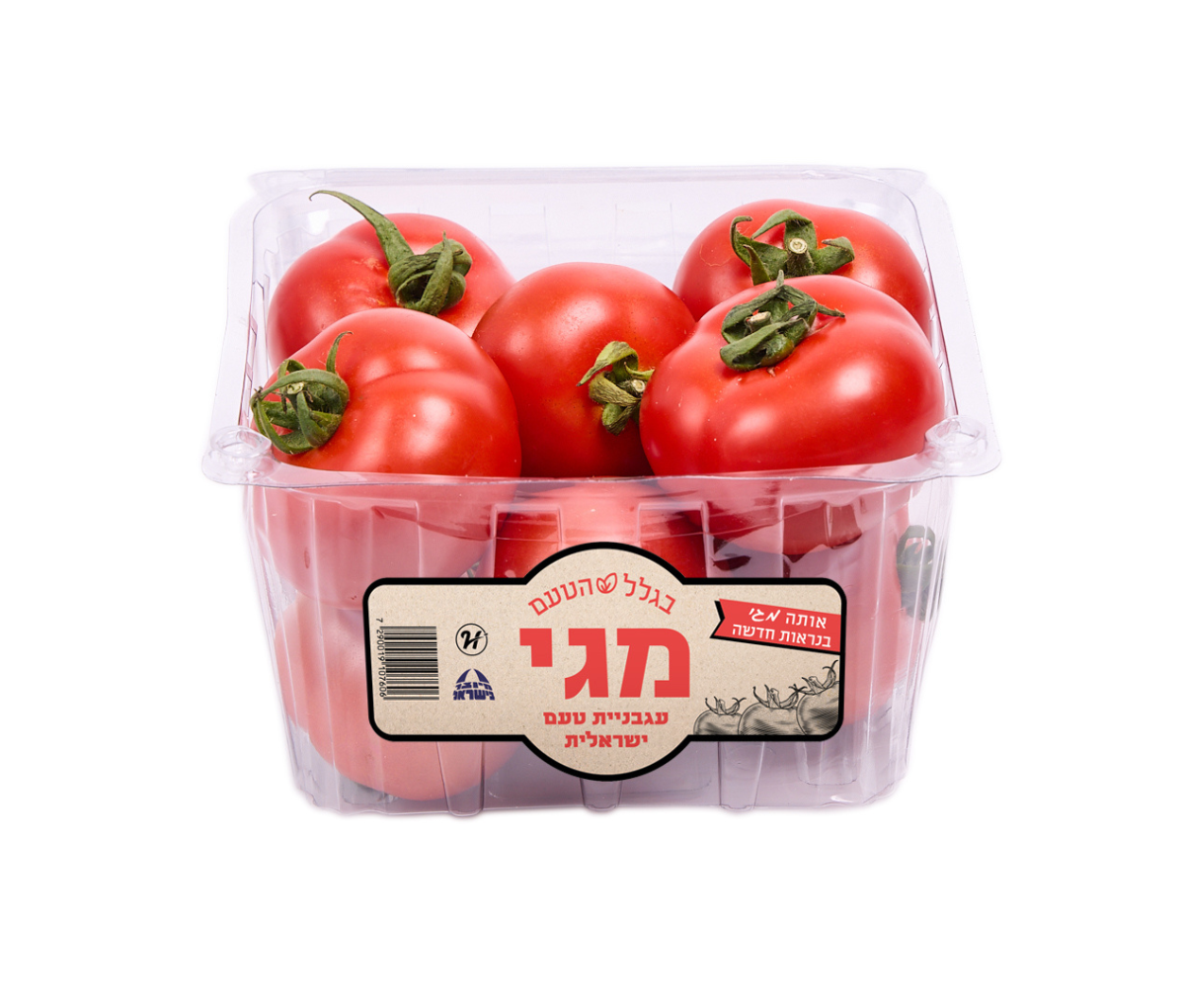עגבניות מגי