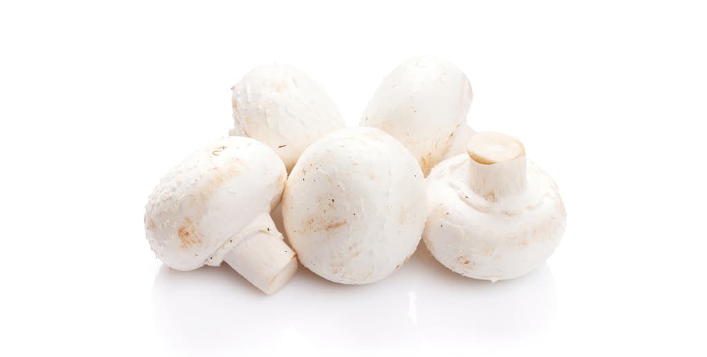 הזמנת פטריות עד הבית- פטריות שמפניון - מתכון למרק פטריות