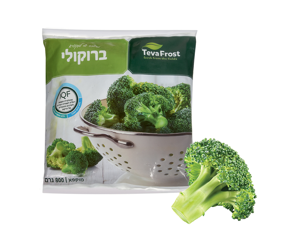 ברוקולי טבעפרוסט 800 גר